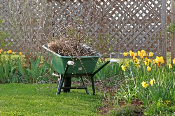 Flower Bed Cleanup Service in Asheville