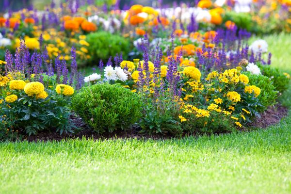 Flower Bed Maintenance in Asheville