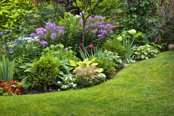 Flower Bed Service in Asheville