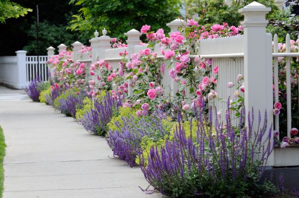 Garden Handyman Service in Asheville