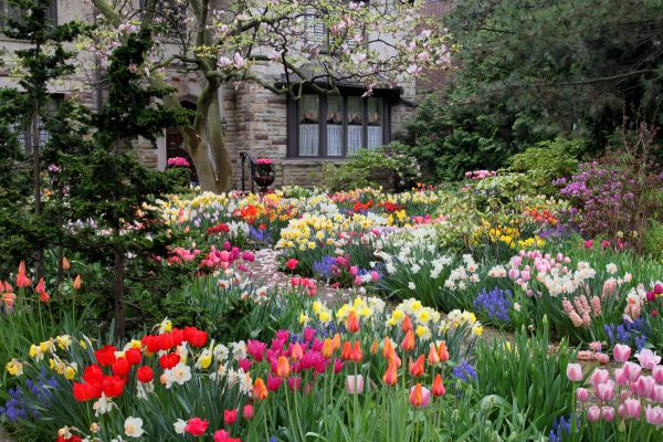 Garden Maintenance Service in Asheville