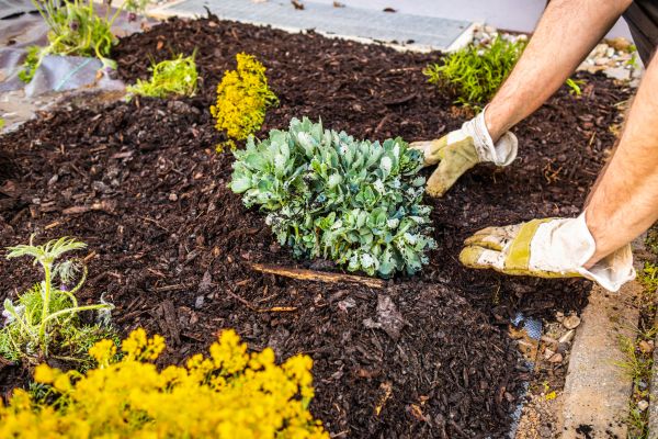 Weeding And Mulching in Asheville