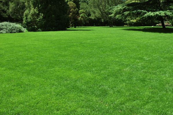 Lawn Landscaping in Asheville