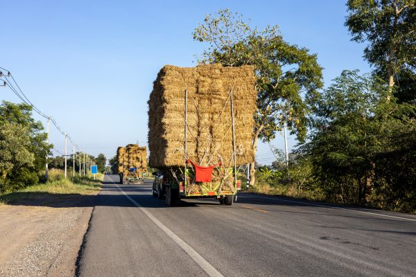 Pine Straw Delivery in Asheville