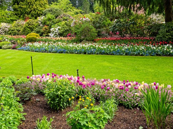 Residential Landscape Design in Asheville
