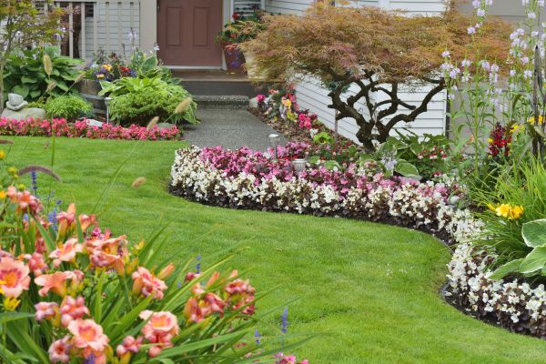 Perennial Landscaping in Asheville