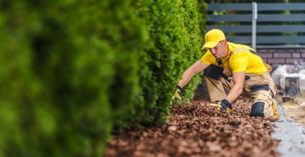 Cypress Mulch Installation in Asheville