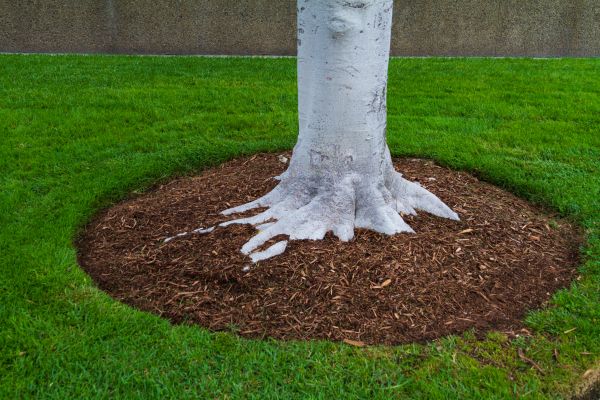 Brown Mulch Installation in Asheville