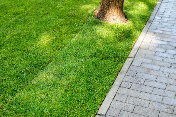 Border Stone Installation in Asheville