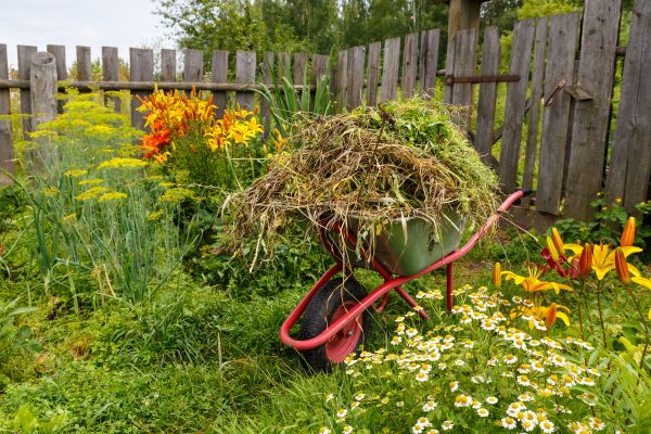 Garden Cleanup Service in Asheville