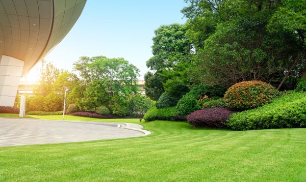 Business Landscape Design in Asheville