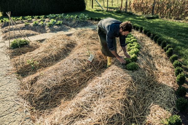 Straw Mulching Service in Asheville