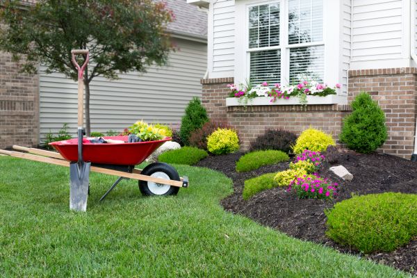 Tree And Shrub Planting in Asheville