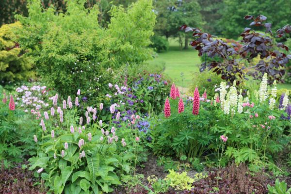 Flower Bed Planting in Asheville