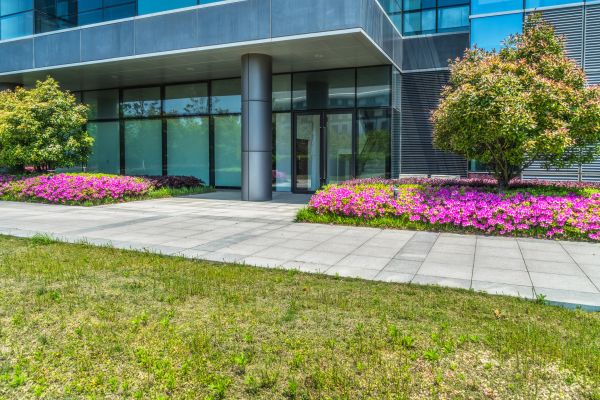 Commercial Gardening in Asheville