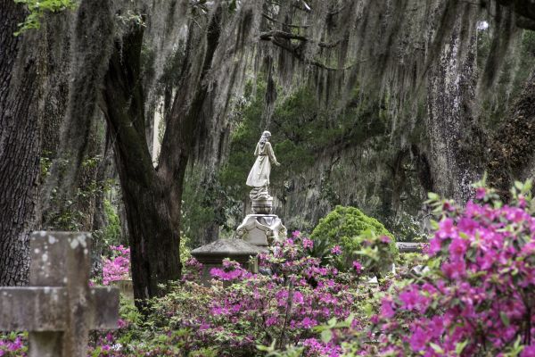 Cemetery Landscaping in Asheville