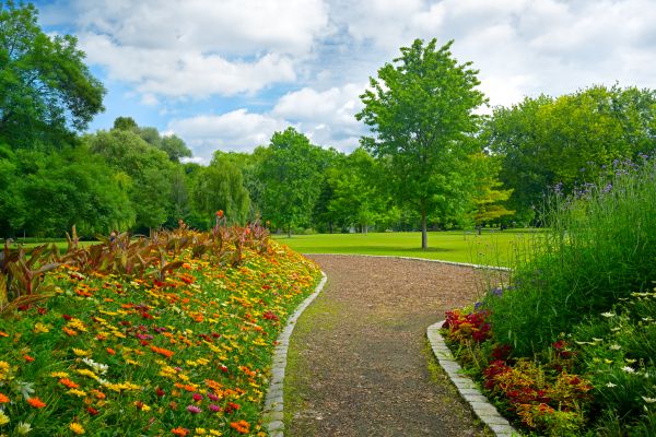 Park Landscaping in Asheville
