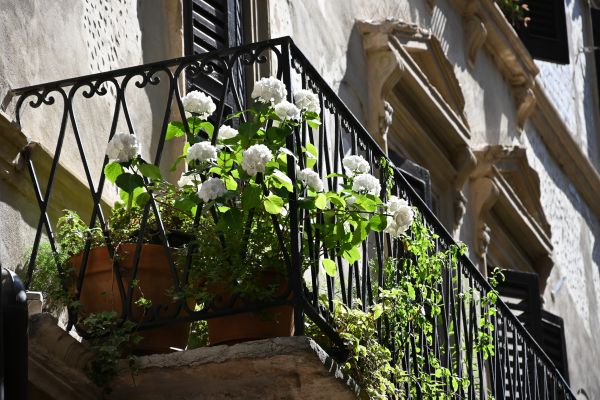 Balcony Landscaping