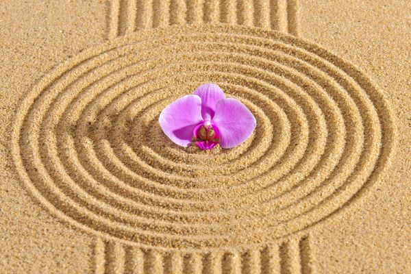 Sand Garden Landscaping in Asheville