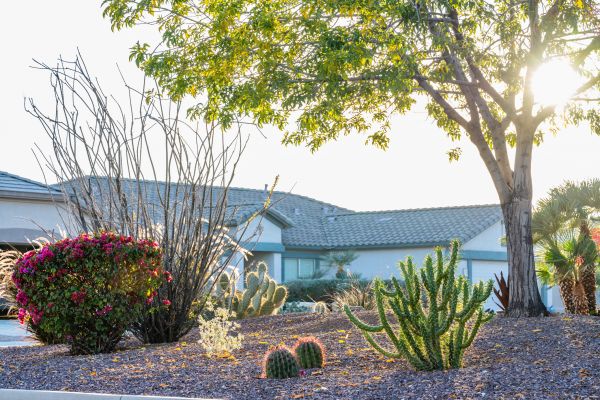 Dryscape Landscaping in Asheville