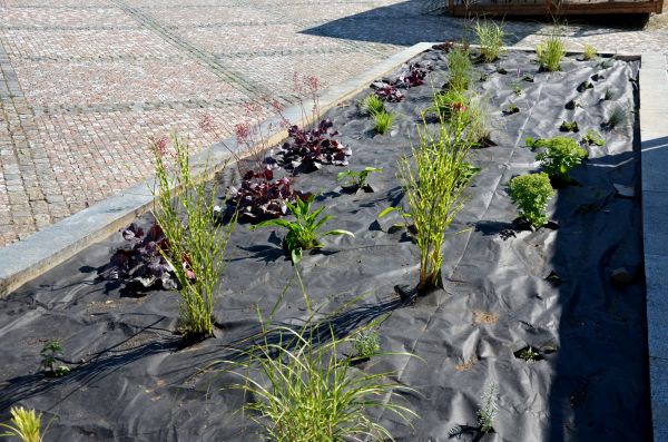 Landscape Fabric Installation in Asheville
