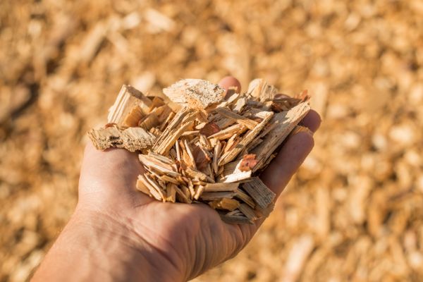 Wood Chips Spreading in Asheville