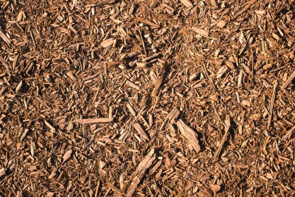 Wood Chips Removal in Asheville