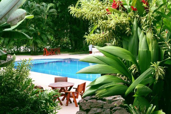 Pool Area Landscaping in Asheville