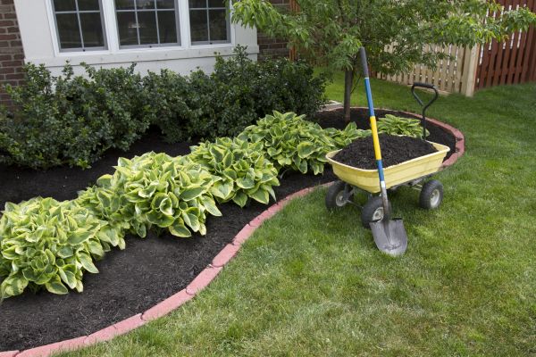 Landscape Mulching in Asheville
