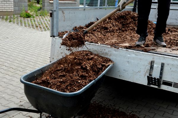 Playground Mulch Delivery in Asheville