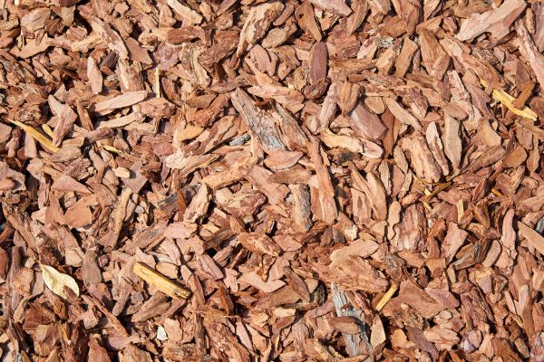 Pine Mulch Spreading in Asheville