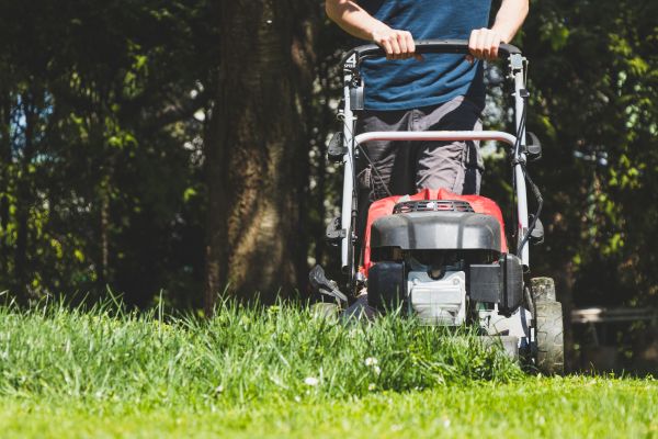 Garden Trimming Service in Asheville