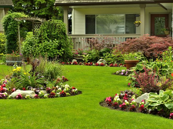 Flower Garden Planting in Asheville