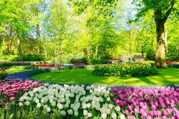 Flower Landscaping in Asheville