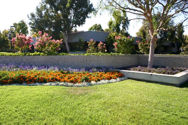 Commercial Landscape Service in Asheville