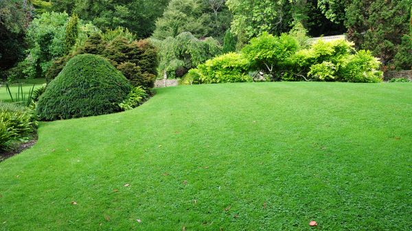 Commercial Landscape Design in Asheville