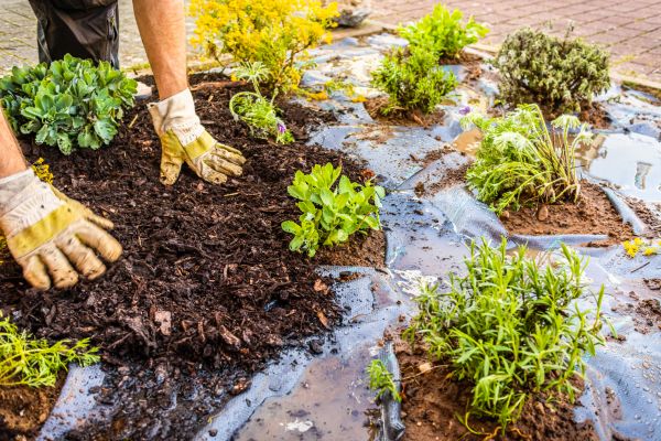 Mulch Fabric Installation in Asheville