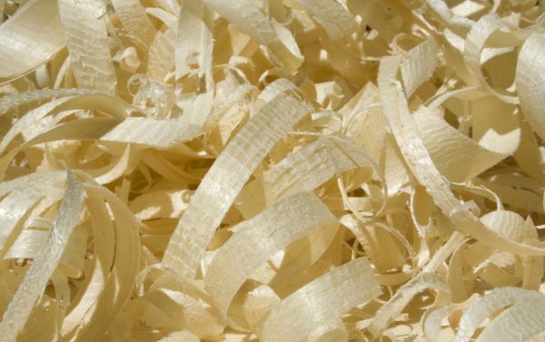 Wood Shavings Disposal