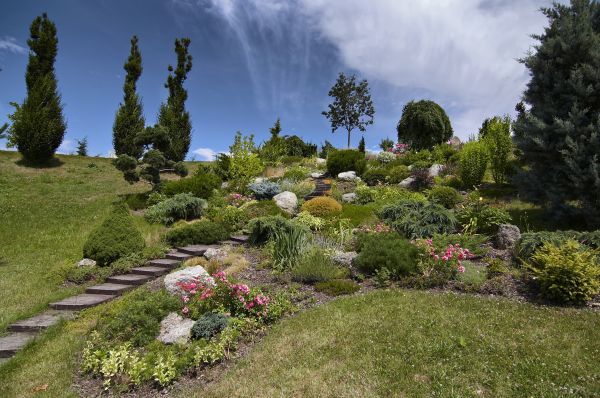 Steep Terrain Landscaping in Asheville