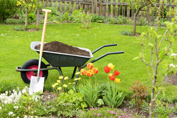 Spring Yard Renovation in Asheville