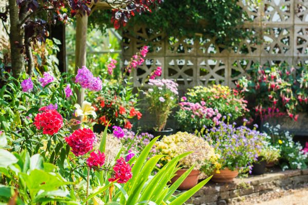 Spring Garden Maintenance in Asheville