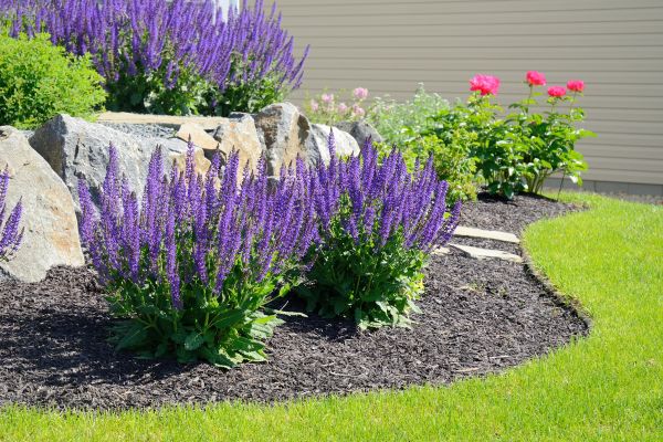 Landscape Planting Service in Asheville