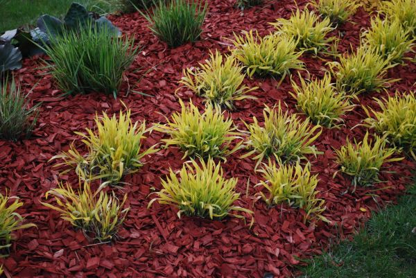 Red Mulch Installation in Asheville