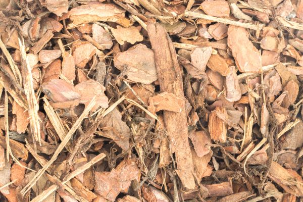 Bark Mulch Installation in Asheville