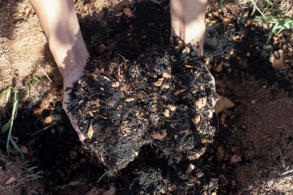 Organic Mulch Installation in Asheville