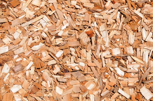 Cypress Mulch Spreading in Asheville