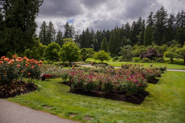 Flower Garden Landscaping in Asheville