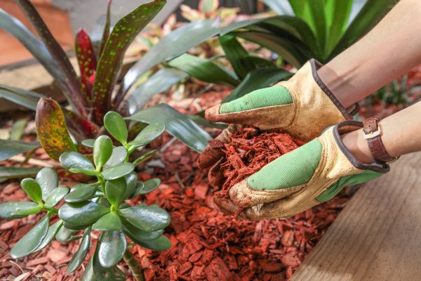 Cedar Mulch Installation in Asheville