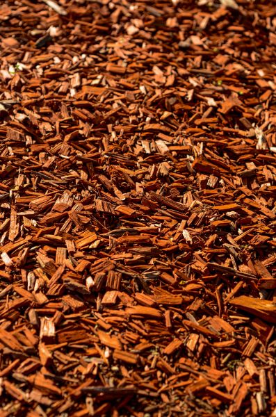 Cedar Mulch Spreading in Asheville