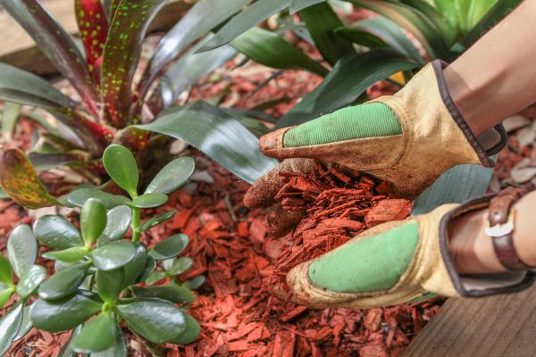 Residential Mulching in Asheville